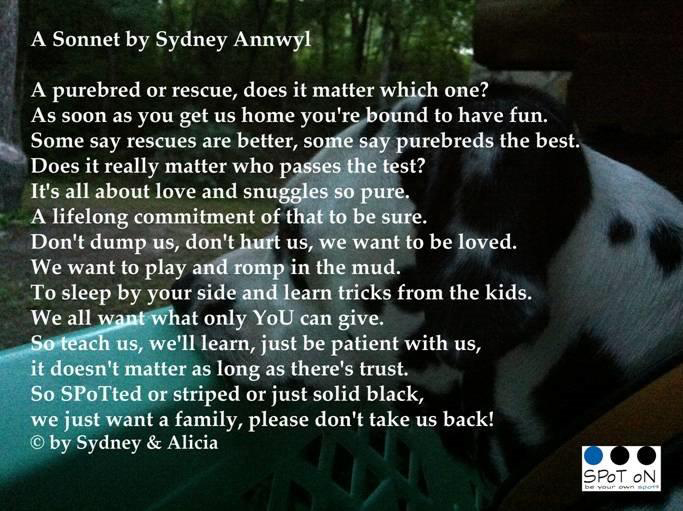 A Sonnet by Sydney - Be Your Own Spot